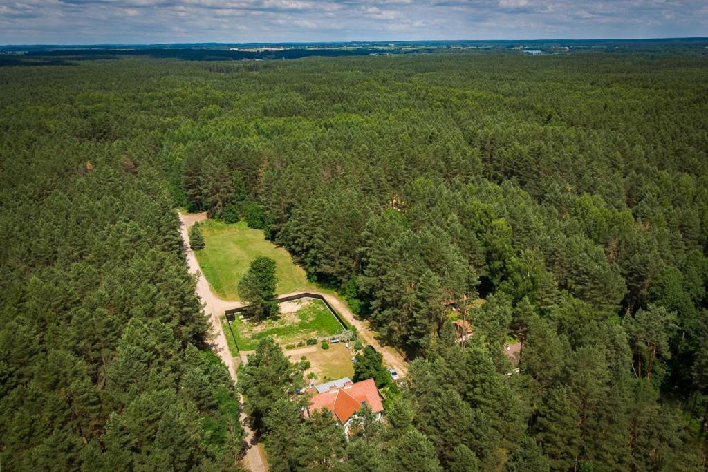 Mazurska Lesniczowka Nowy Zyzdroj Bed & Breakfast Exterior photo